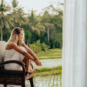 Double or Twin Room Terrace